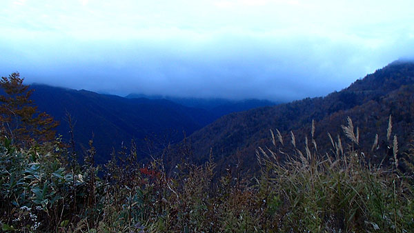 栃木県との県境にて